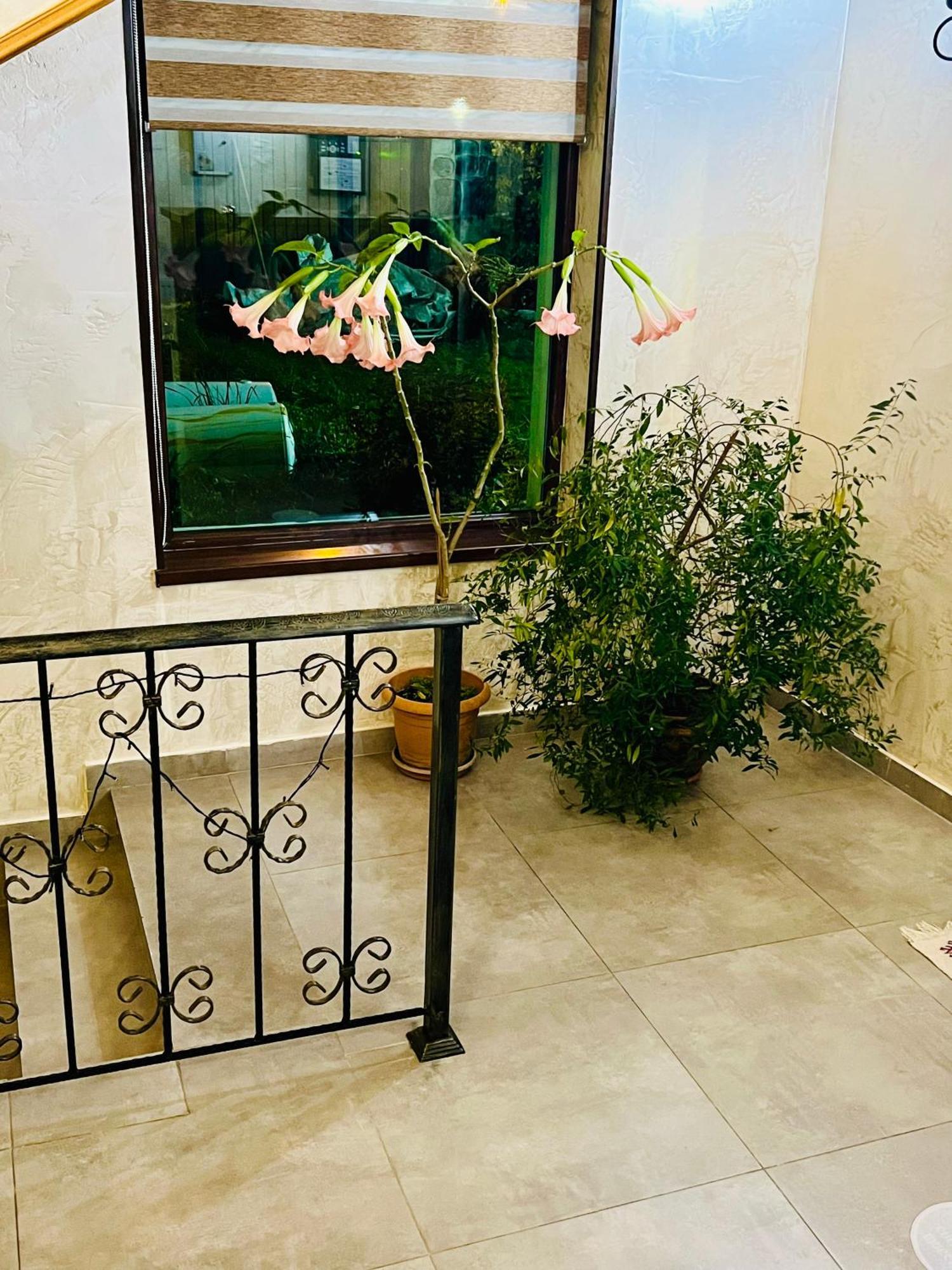 Hotel Elite House Mestia Zewnętrze zdjęcie